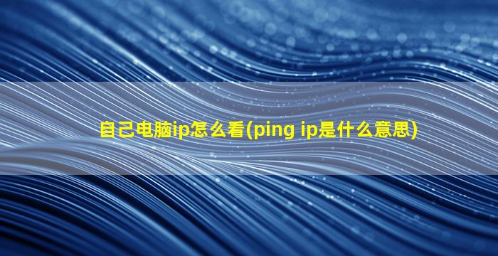 自己电脑ip怎么看(ping ip是什么意思)